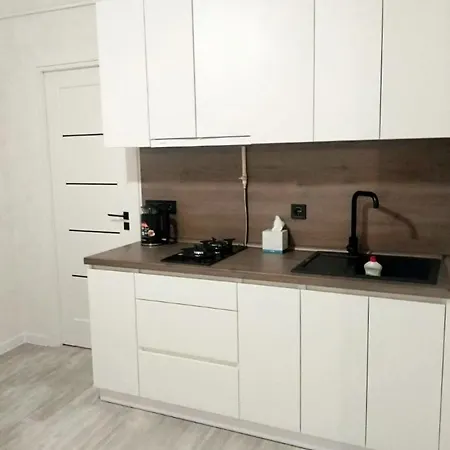 Flat In The Center Apartment