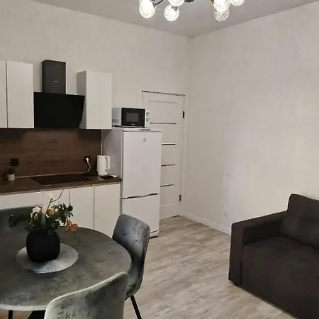 Apartment Flat In The Center