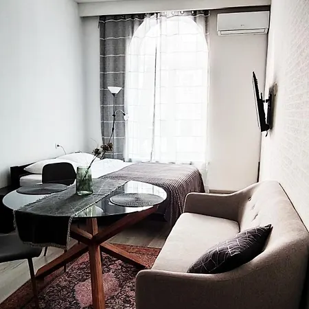 Flat In The Center Odesa