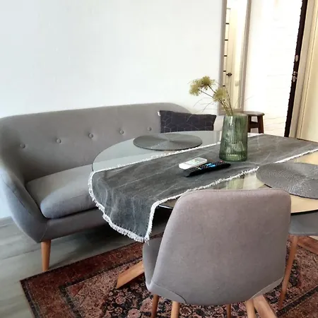 Flat In The Center Apartment *