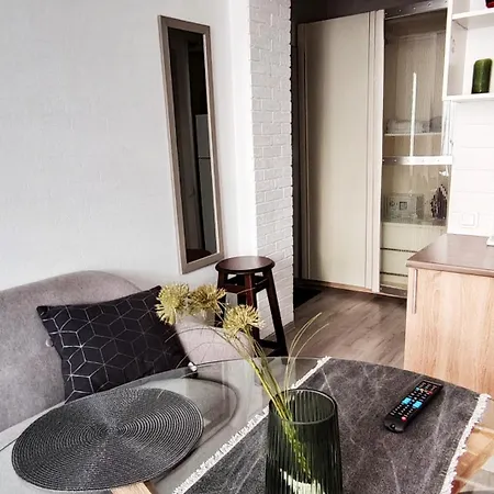 Flat In The Center Apartment