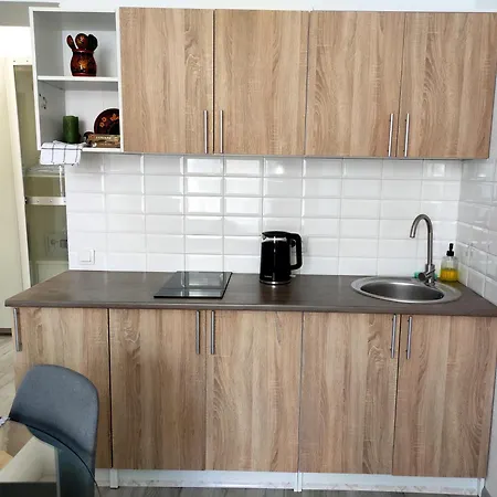 Apartment Flat In The Center *