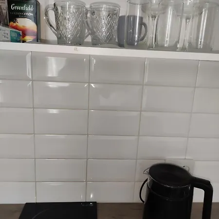 Apartment Flat In The Center Odesa